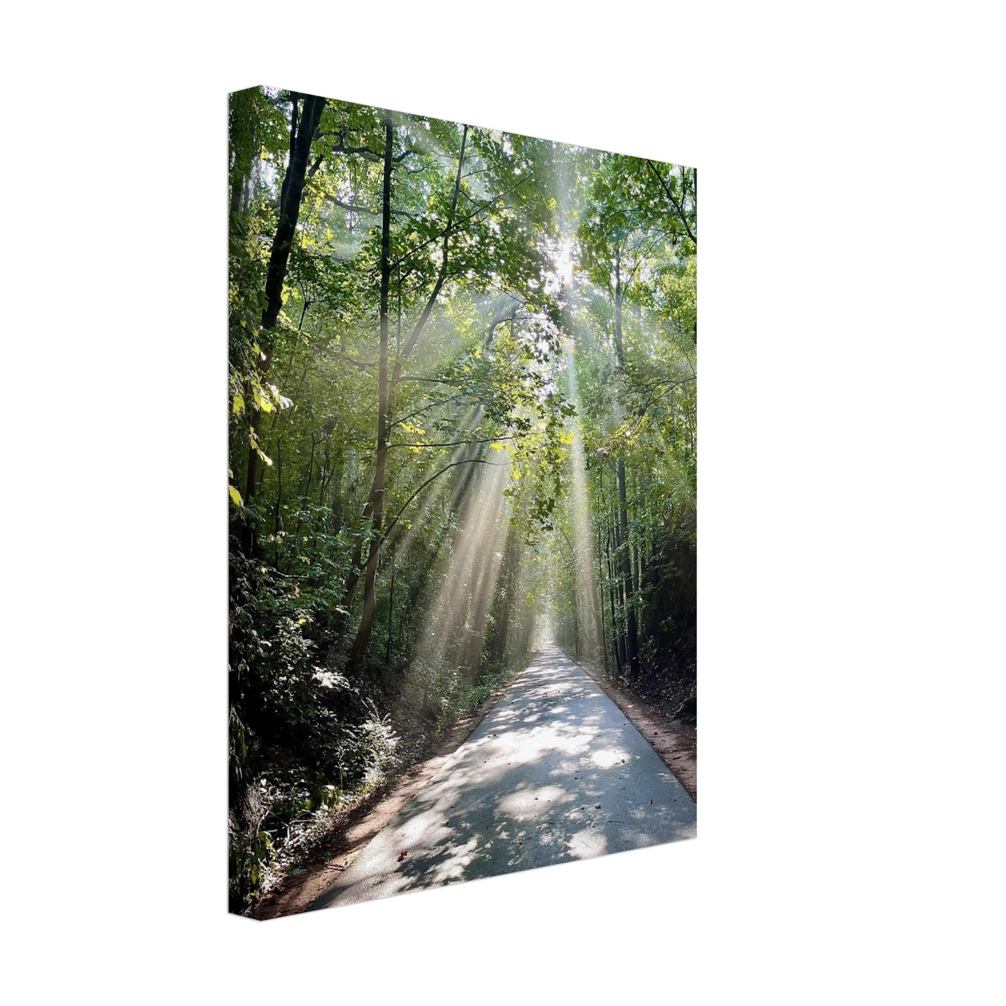 Silver Comet Trail - Smyrna, GA - Canvas