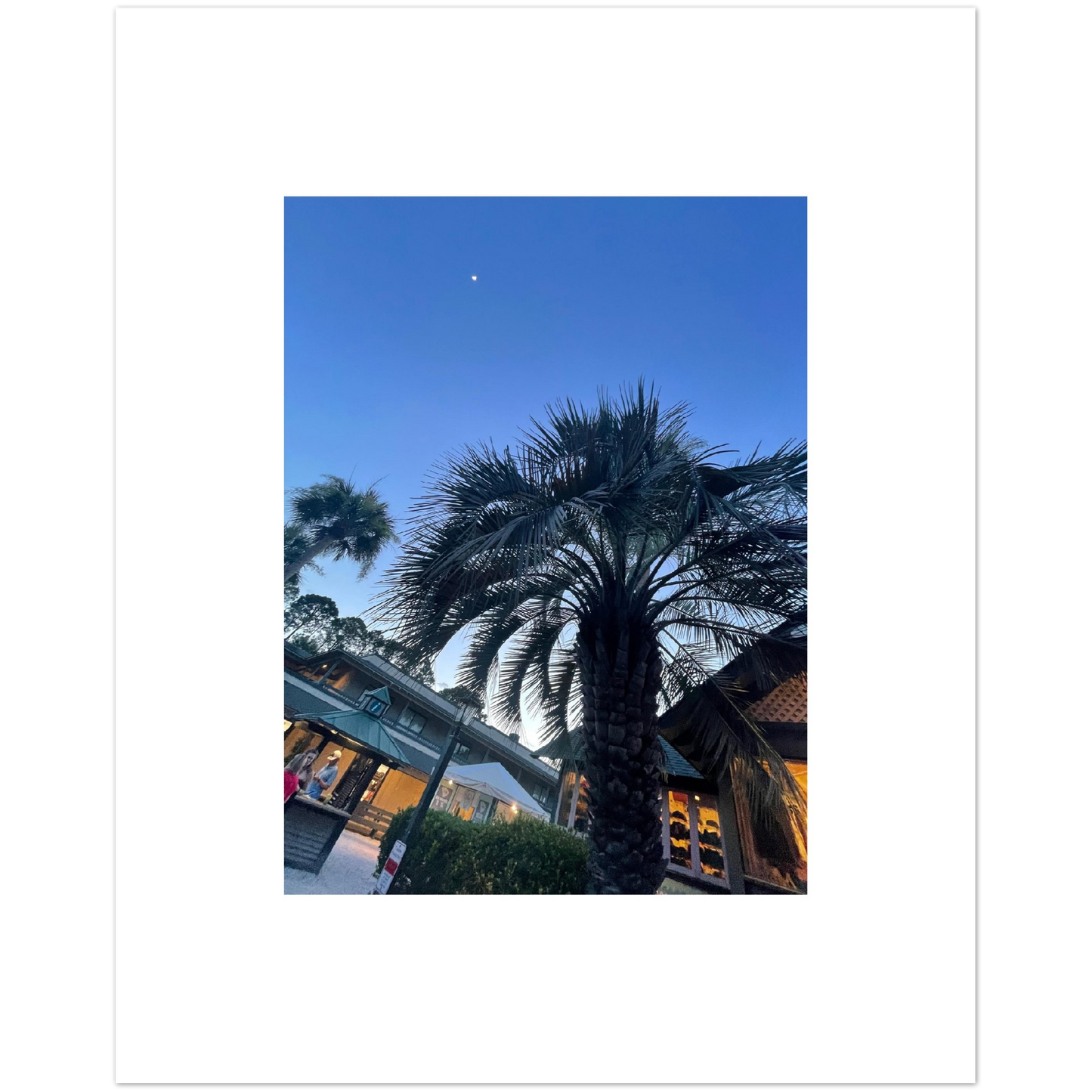 Hilton Head Island Dusk Moonlit Aluminum Print