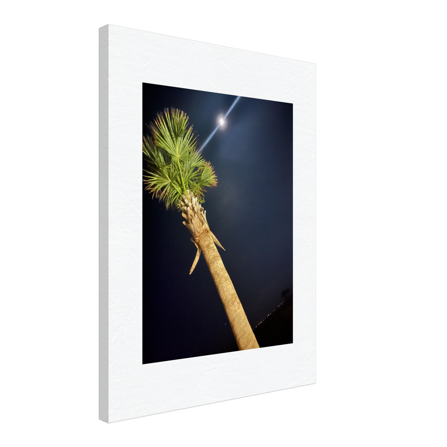 Palm Tree and Moon over Hilton Head Island on Canvas