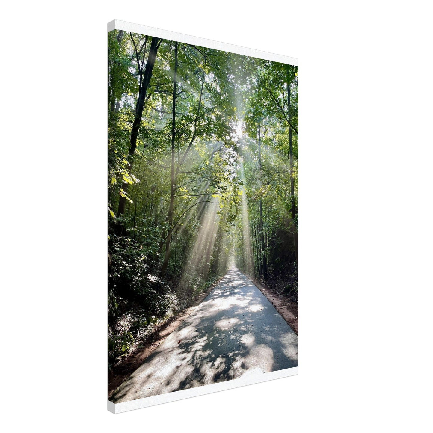 Silver Comet Trail - Smyrna, GA - Canvas