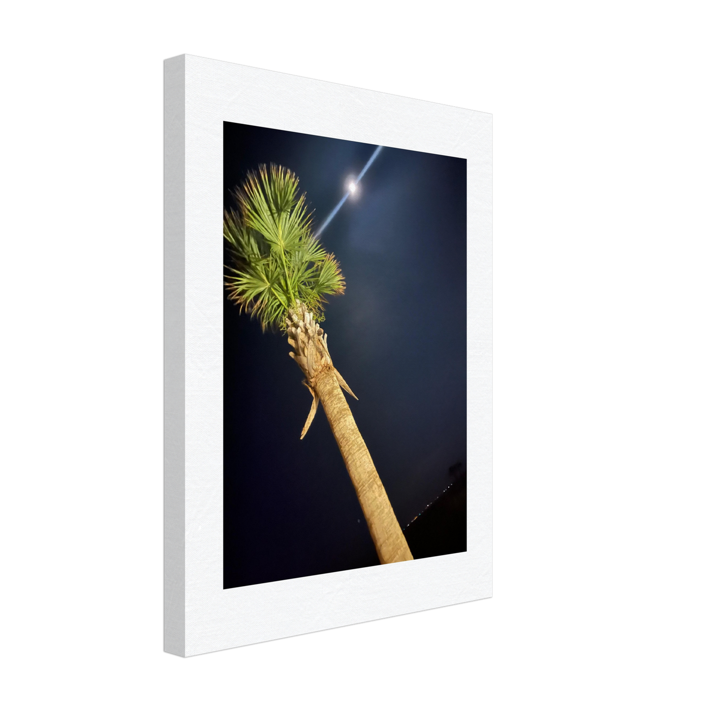 Palm Tree and Moon over Hilton Head Island on Canvas