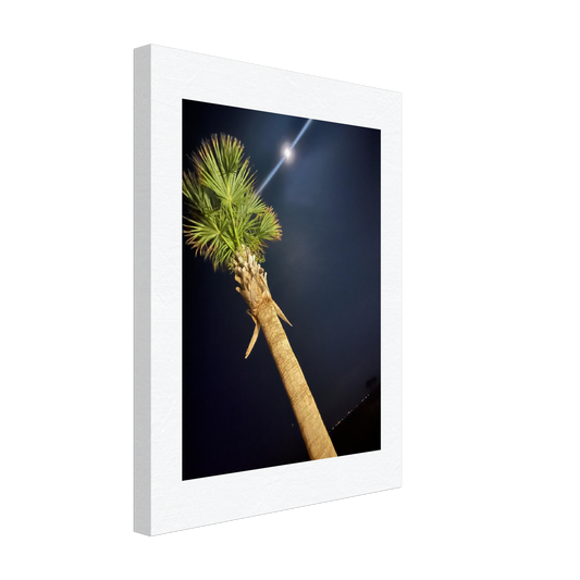 Palm Tree and Moon over Hilton Head Island on Canvas