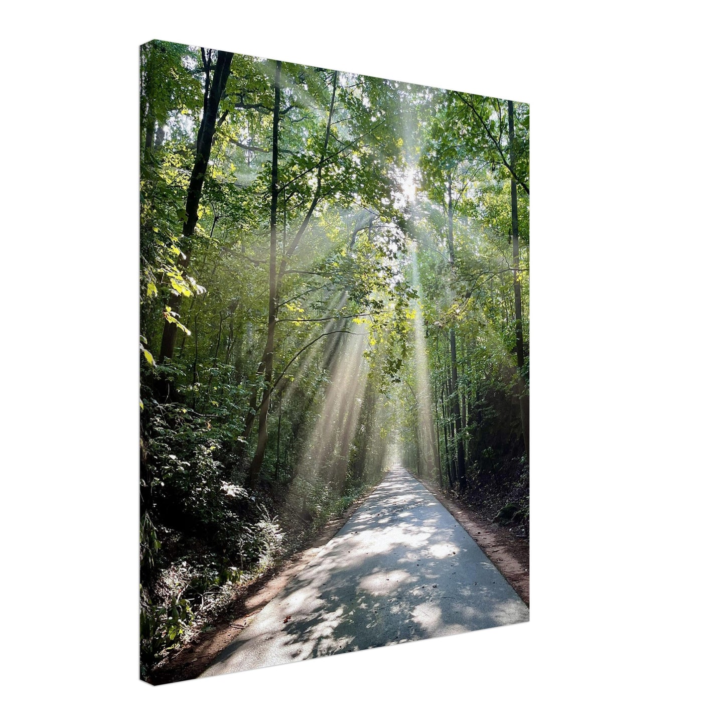 Silver Comet Trail - Smyrna, GA - Canvas