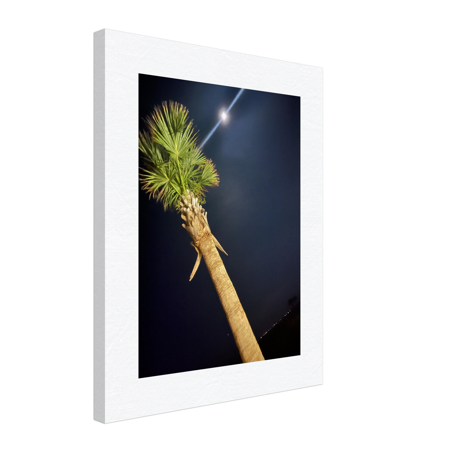 Palm Tree and Moon over Hilton Head Island on Canvas