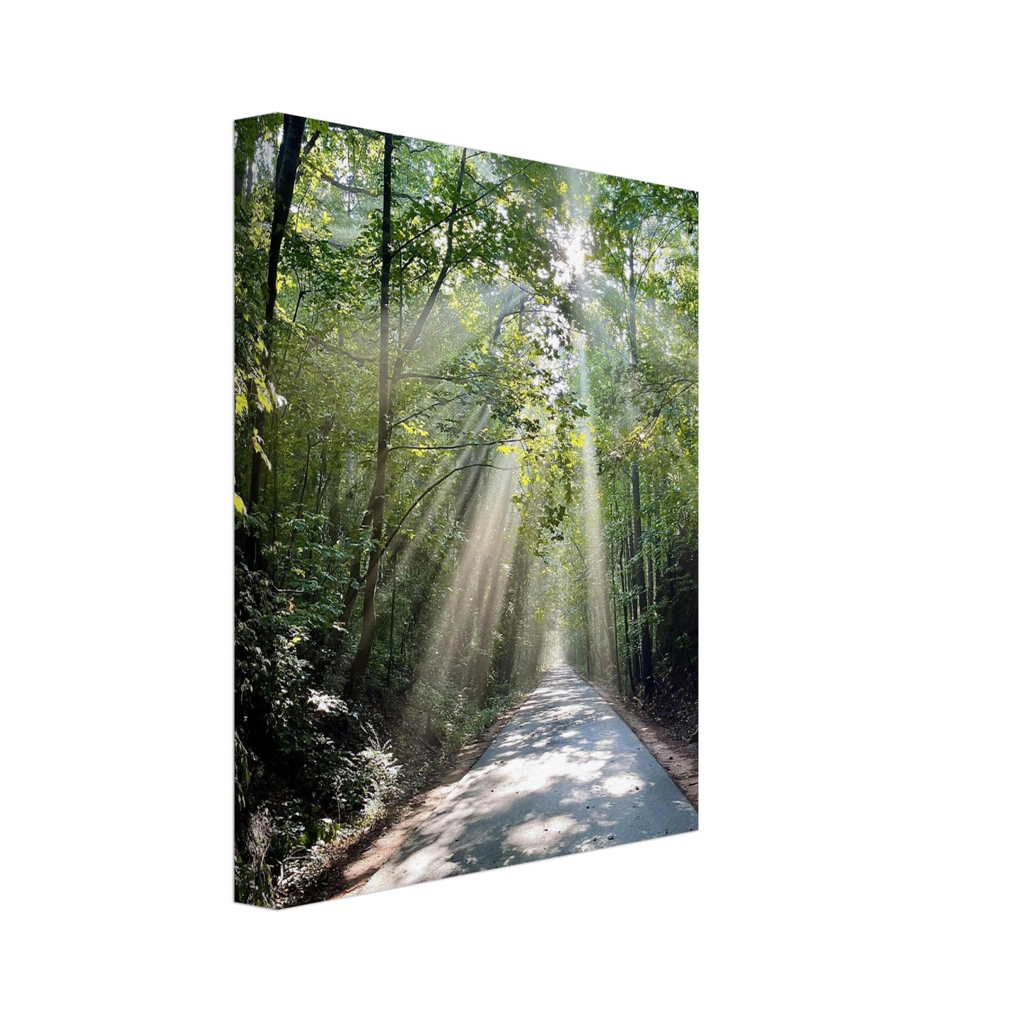 Silver Comet Trail - Smyrna, GA - Canvas