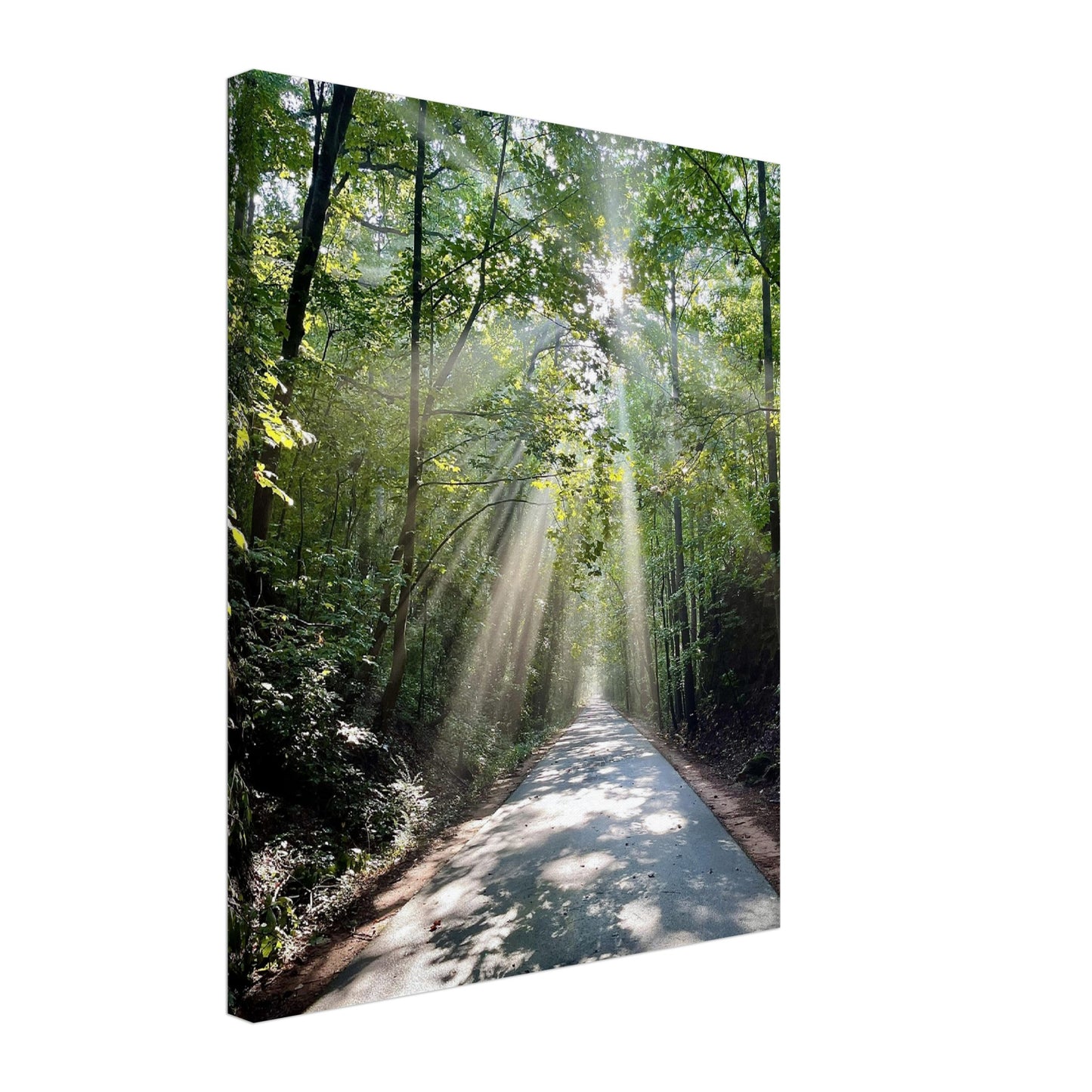 Silver Comet Trail - Smyrna, GA - Canvas