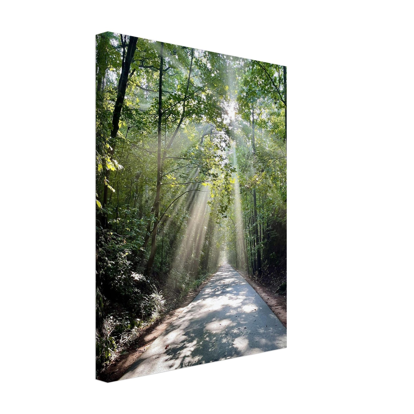 Silver Comet Trail - Smyrna, GA - Canvas