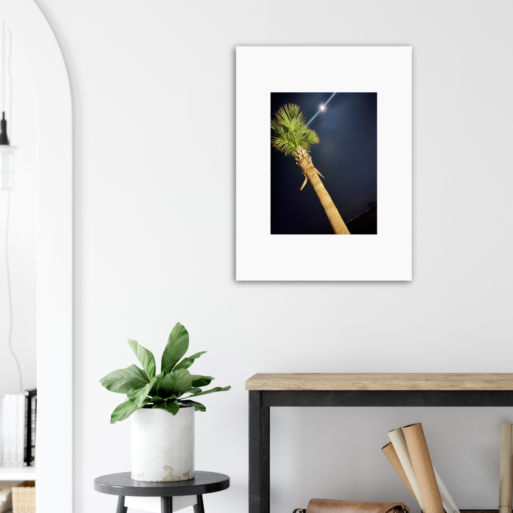 Palm Tree and Moon over Hilton Head Island Aluminum Print