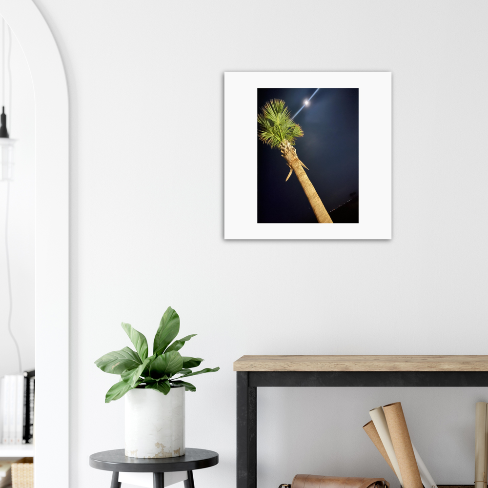 Palm Tree and Moon over Hilton Head Island Aluminum Print