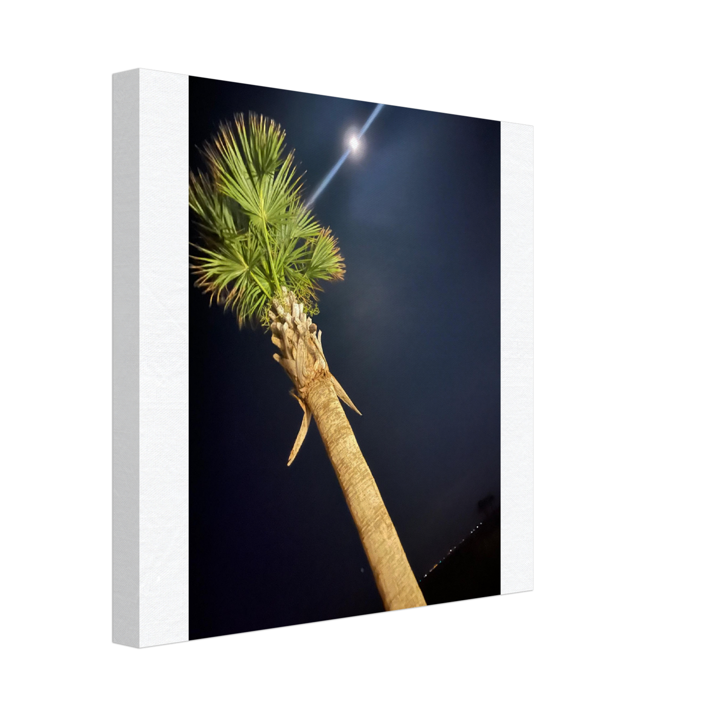 Palm Tree and Moon over Hilton Head Island on Canvas