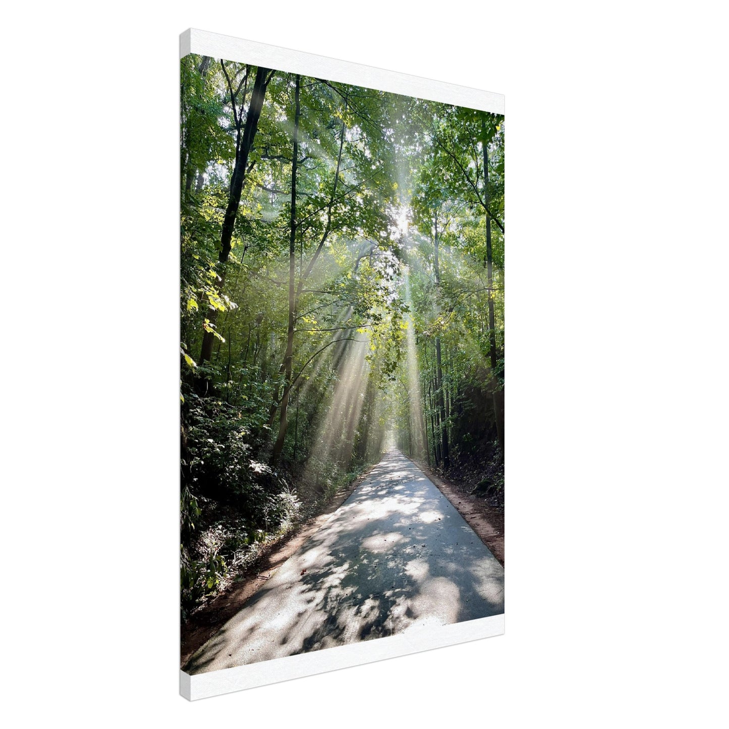 Silver Comet Trail - Smyrna, GA - Canvas