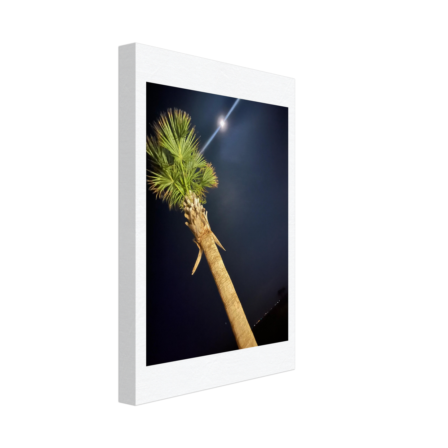 Palm Tree and Moon over Hilton Head Island on Canvas