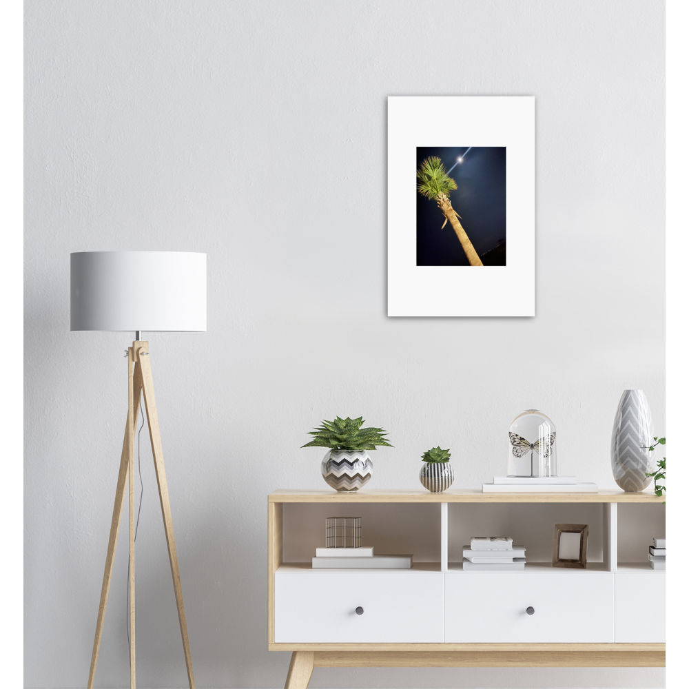 Palm Tree and Moon over Hilton Head Island Aluminum Print