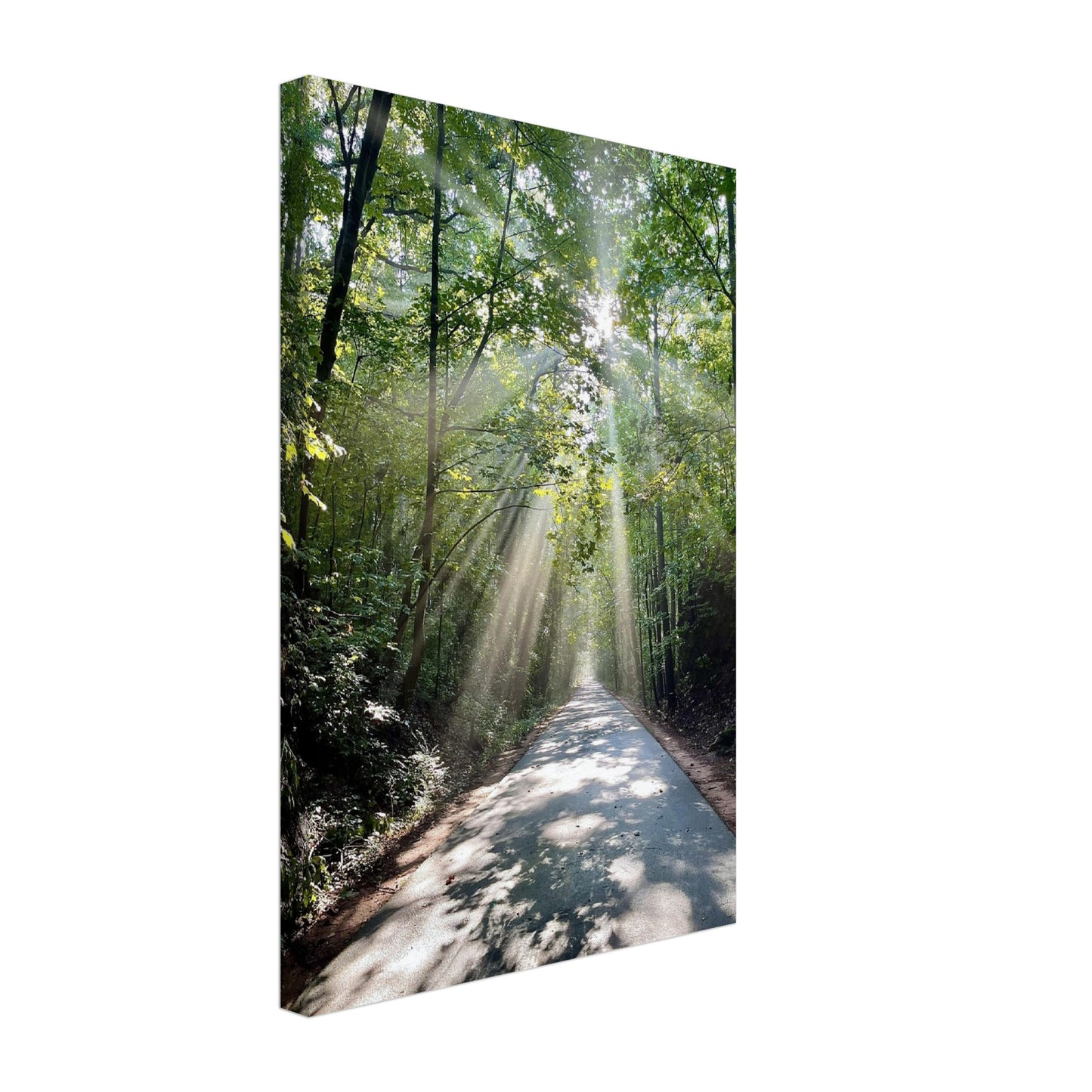 Silver Comet Trail - Smyrna, GA - Canvas