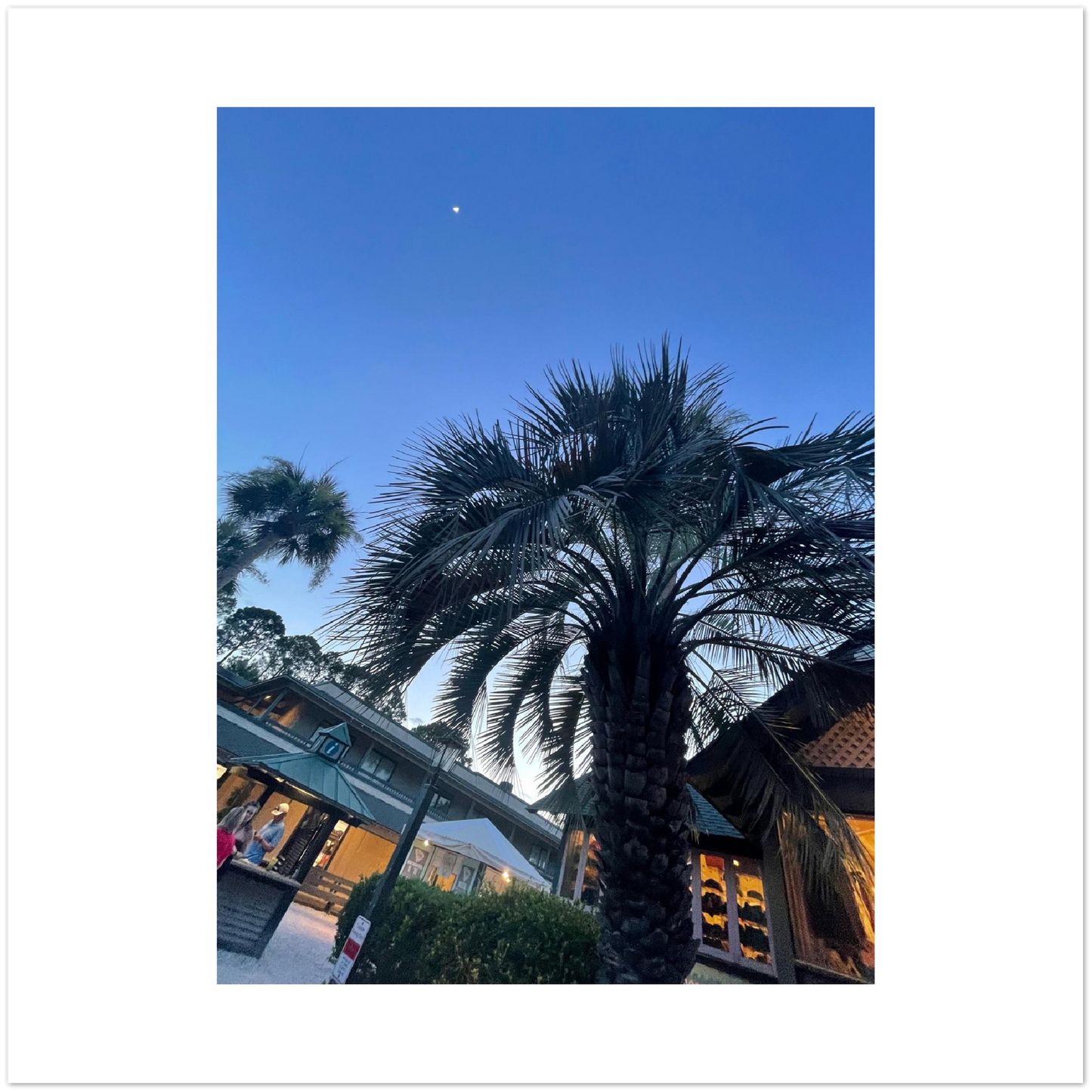 Hilton Head Island Dusk Moonlit Aluminum Print