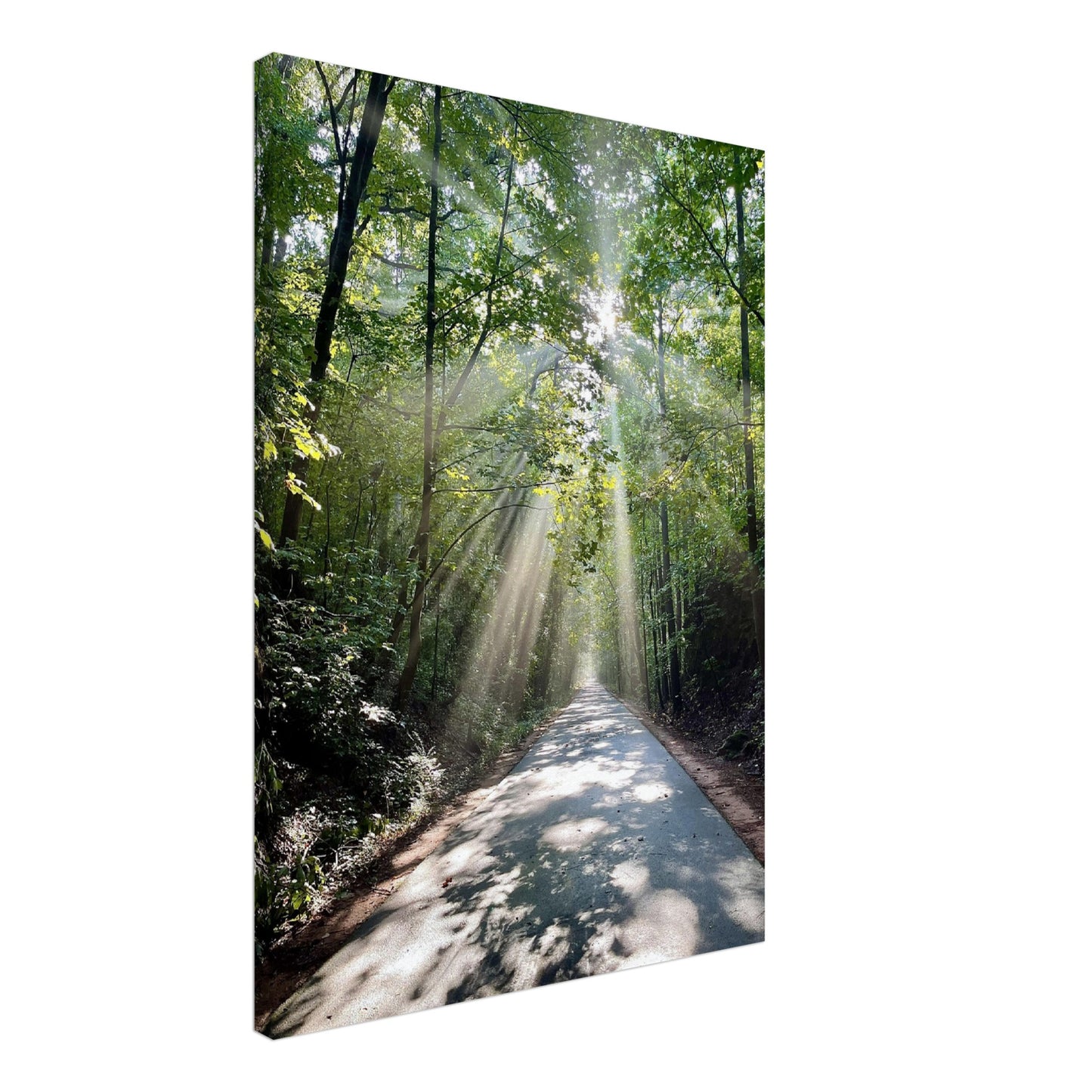 Silver Comet Trail - Smyrna, GA - Canvas