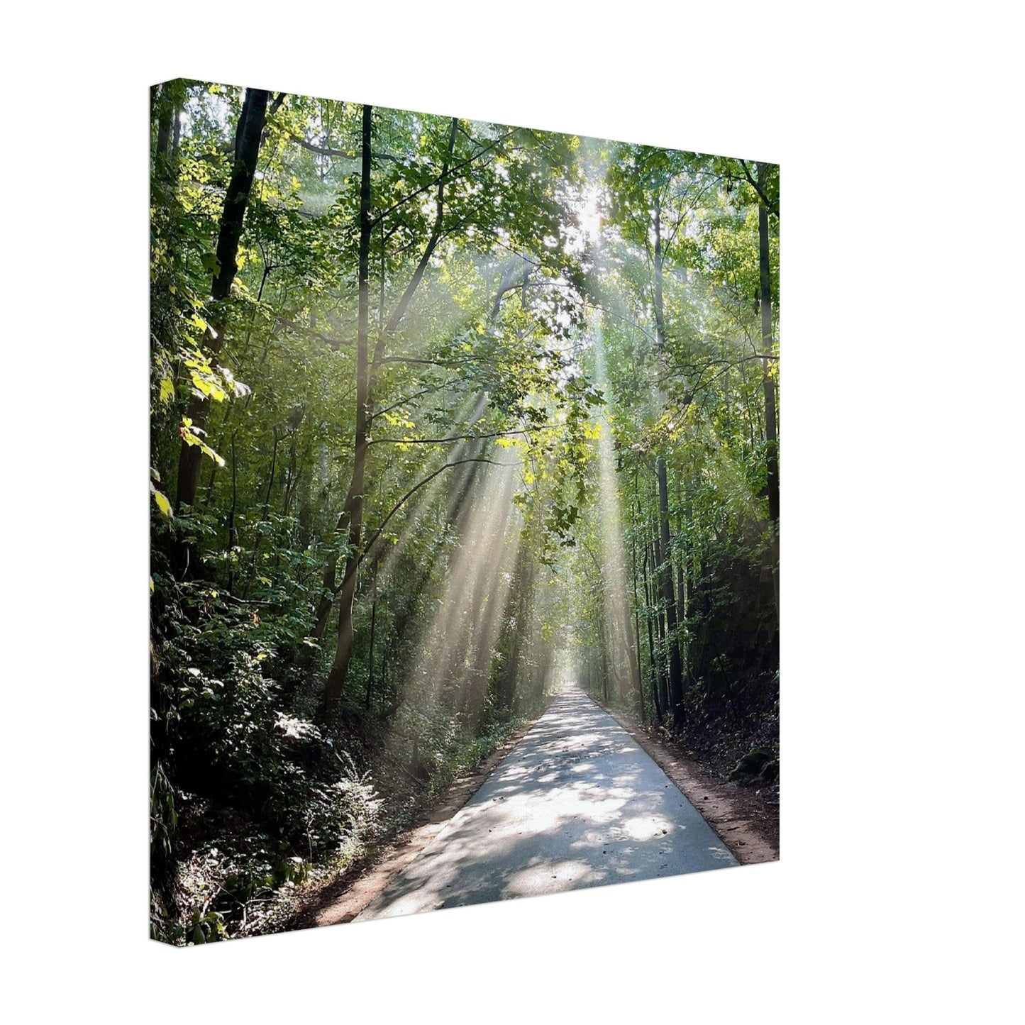 Silver Comet Trail - Smyrna, GA - Canvas