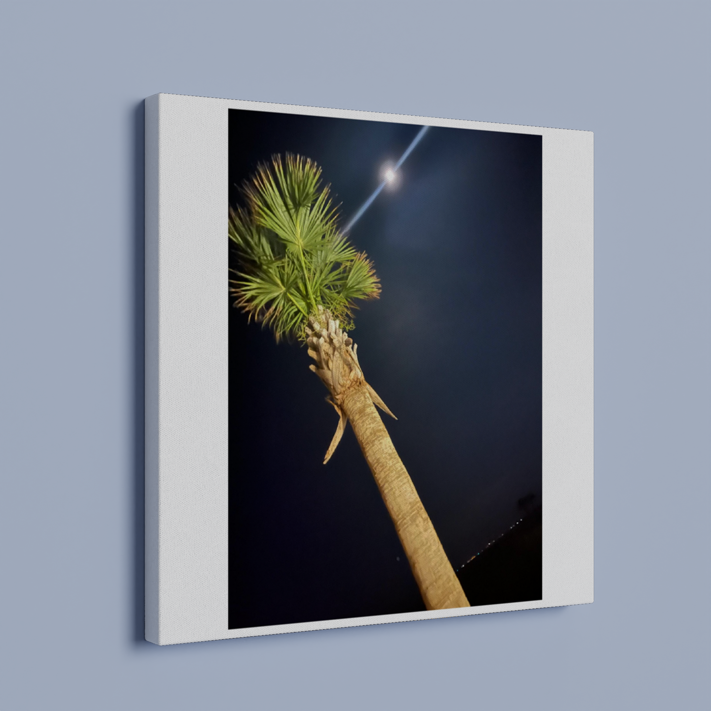 Palm Tree and Moon over Hilton Head Island on Canvas