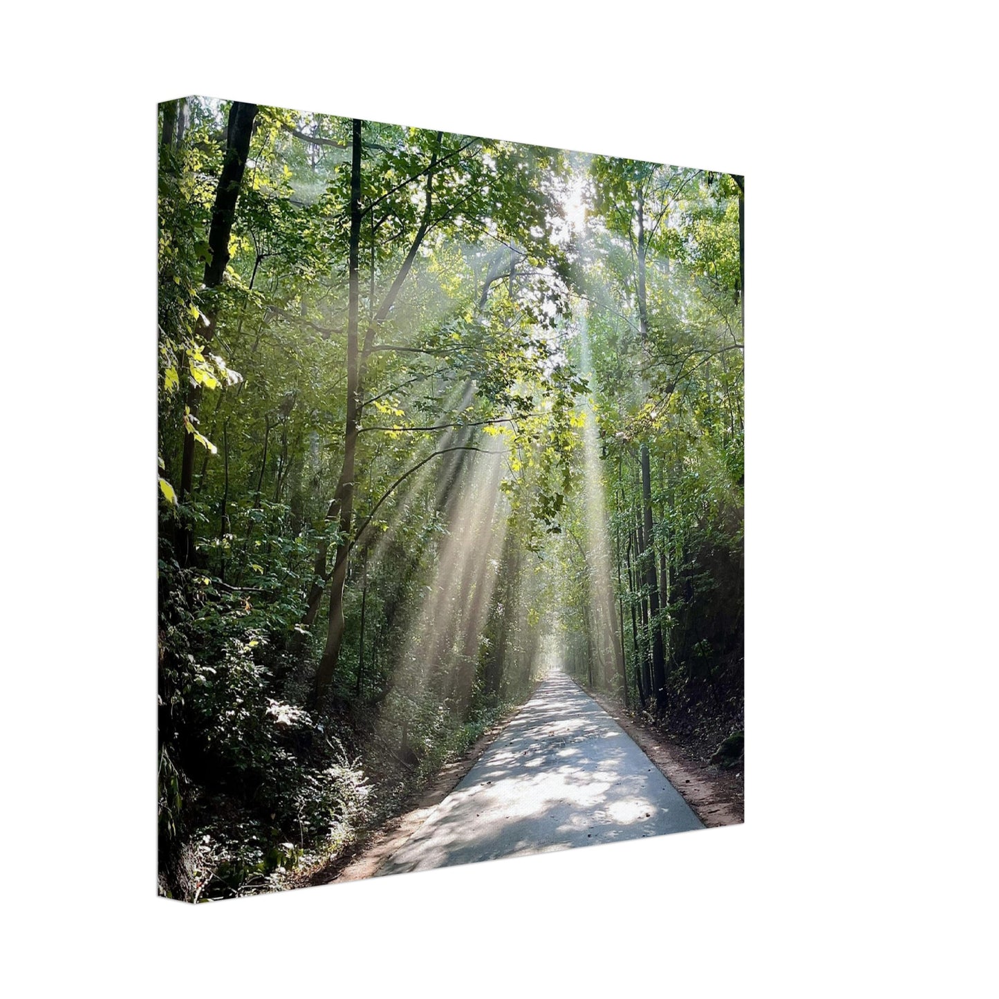 Silver Comet Trail - Smyrna, GA - Canvas