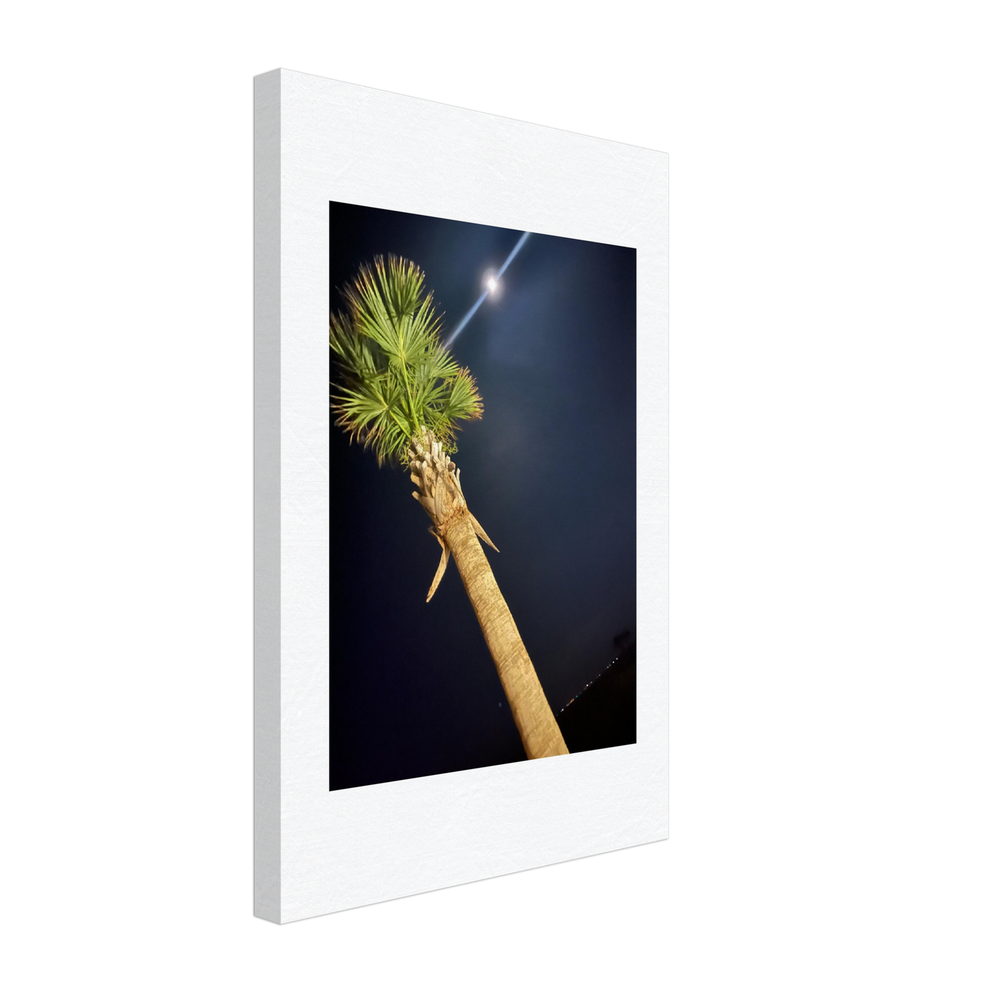 Palm Tree and Moon over Hilton Head Island on Canvas