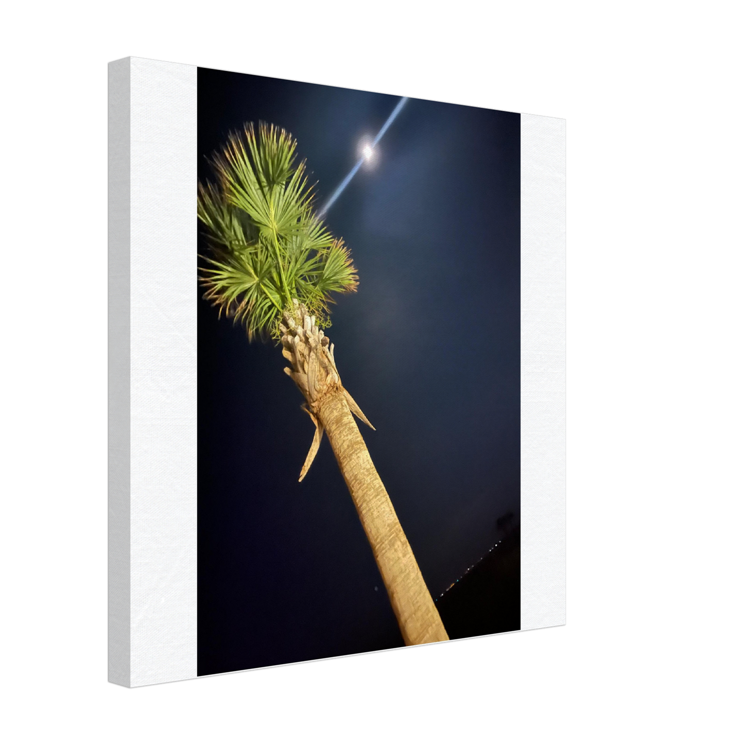 Palm Tree and Moon over Hilton Head Island on Canvas