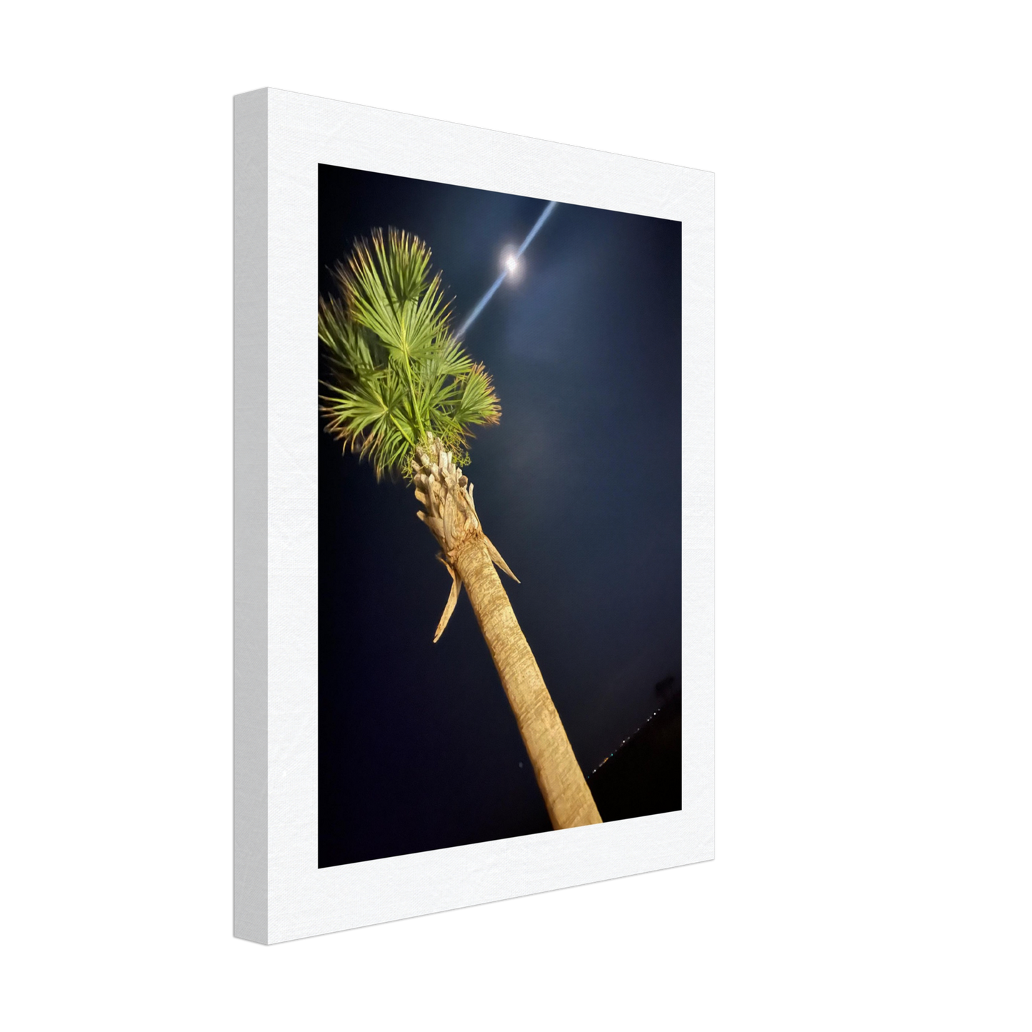 Palm Tree and Moon over Hilton Head Island on Canvas