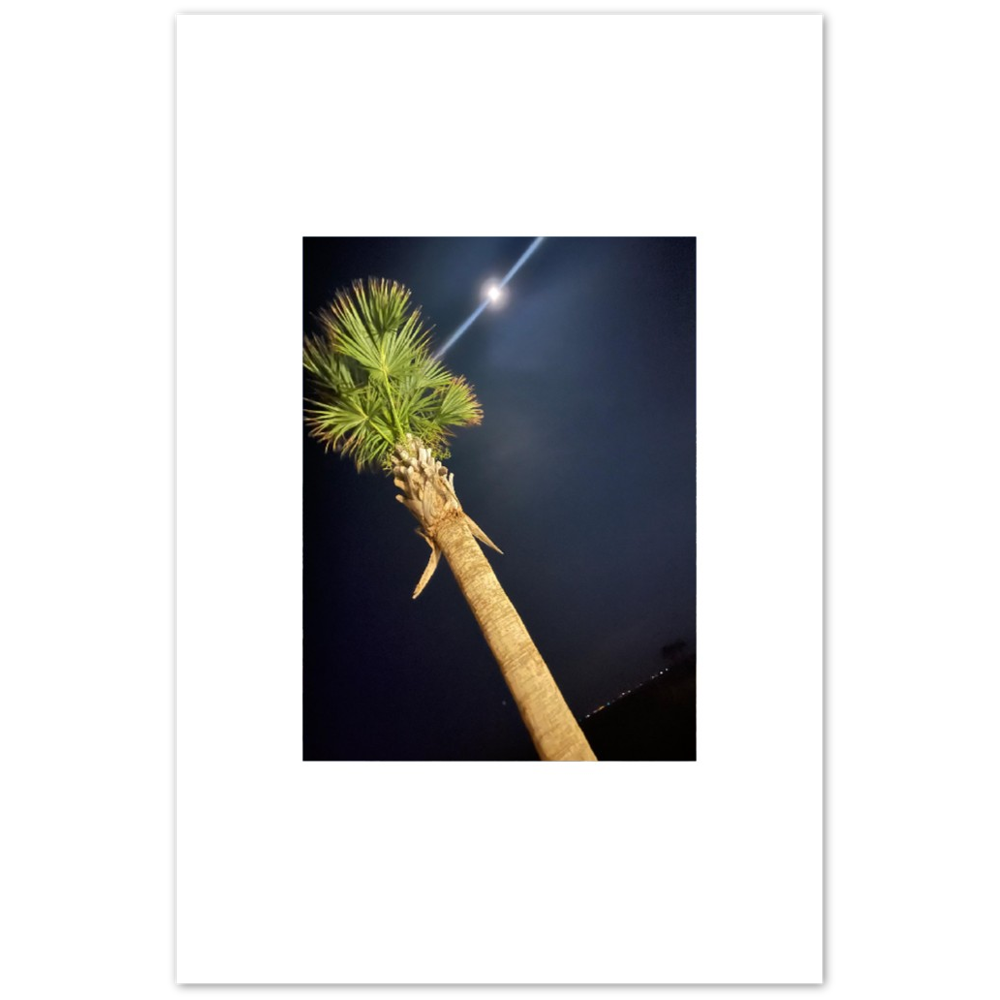 Palm Tree and Moon over Hilton Head Island Aluminum Print