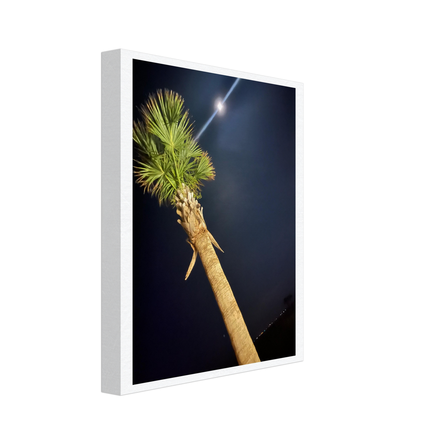 Palm Tree and Moon over Hilton Head Island on Canvas