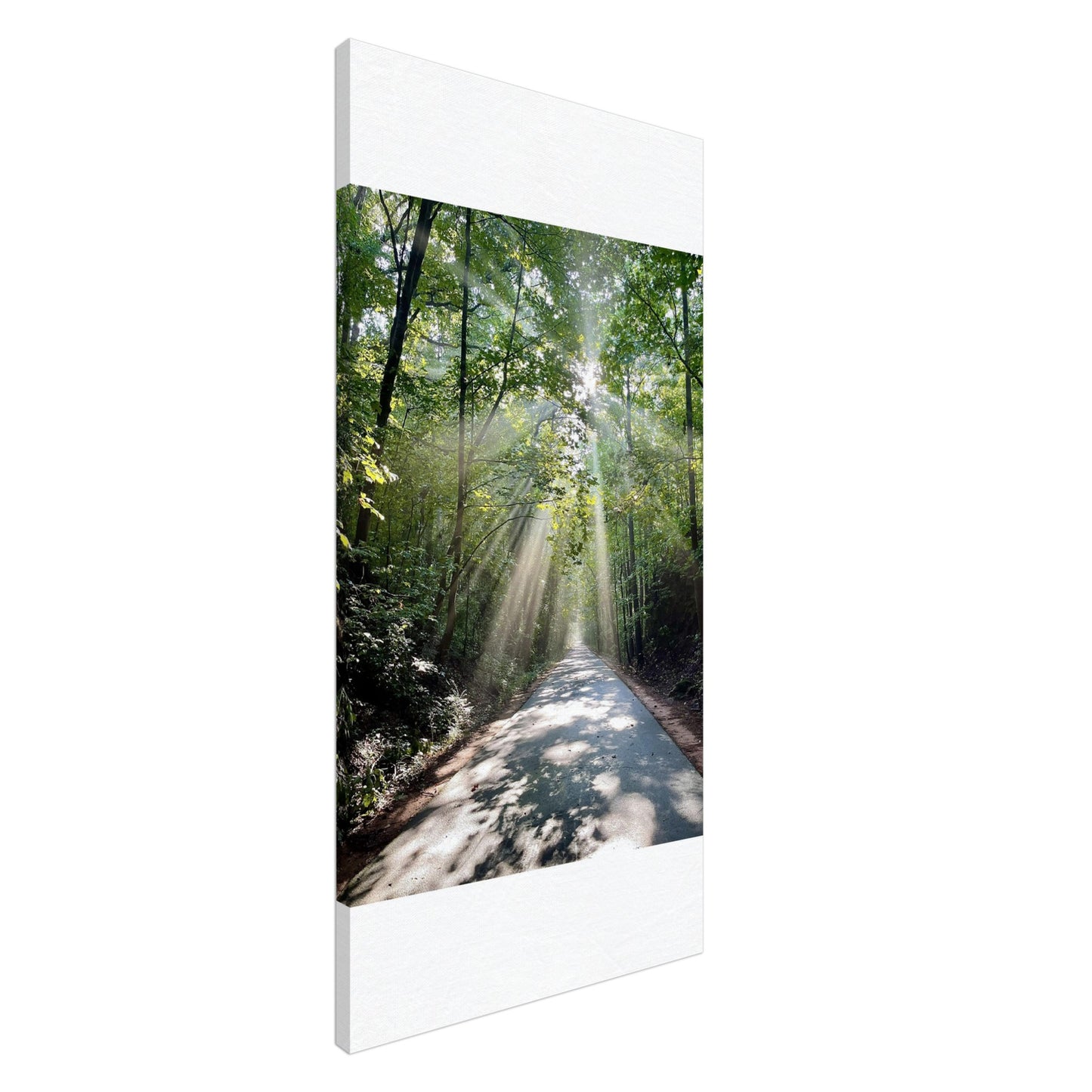 Silver Comet Trail - Smyrna, GA - Canvas