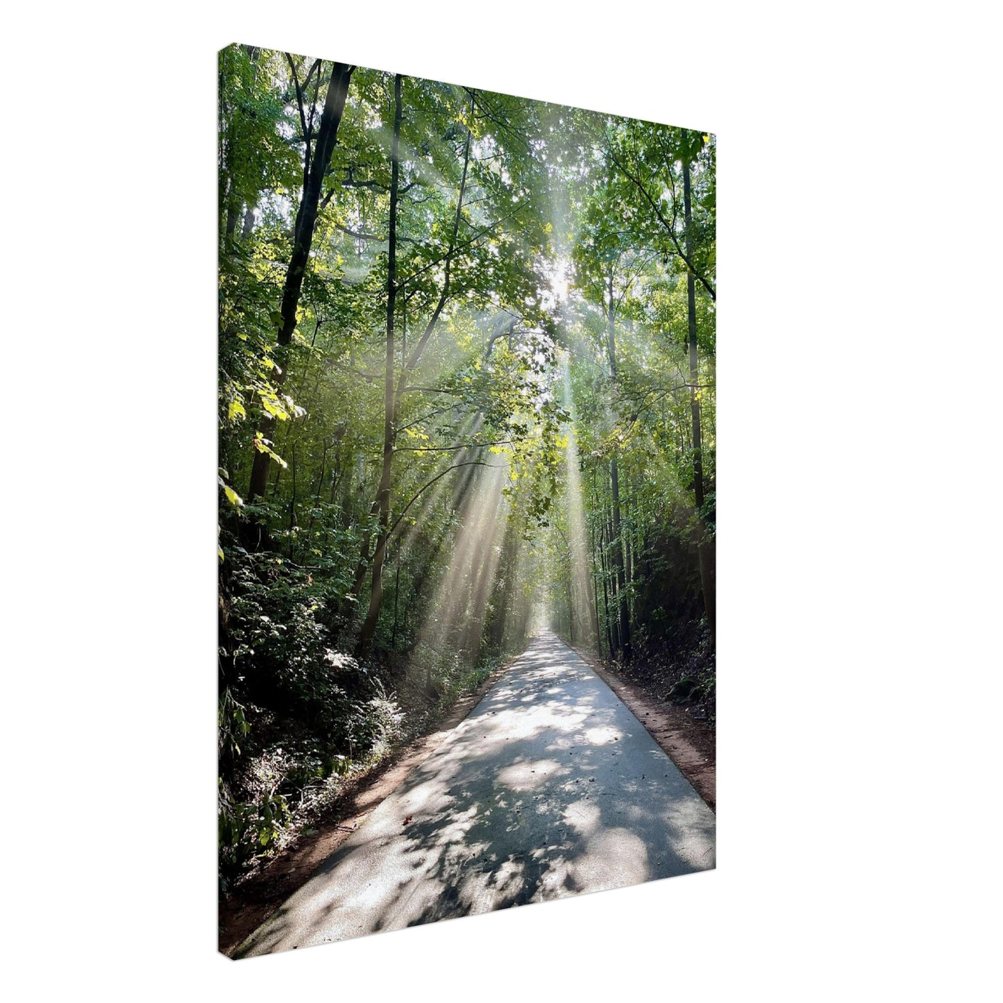 Silver Comet Trail - Smyrna, GA - Canvas