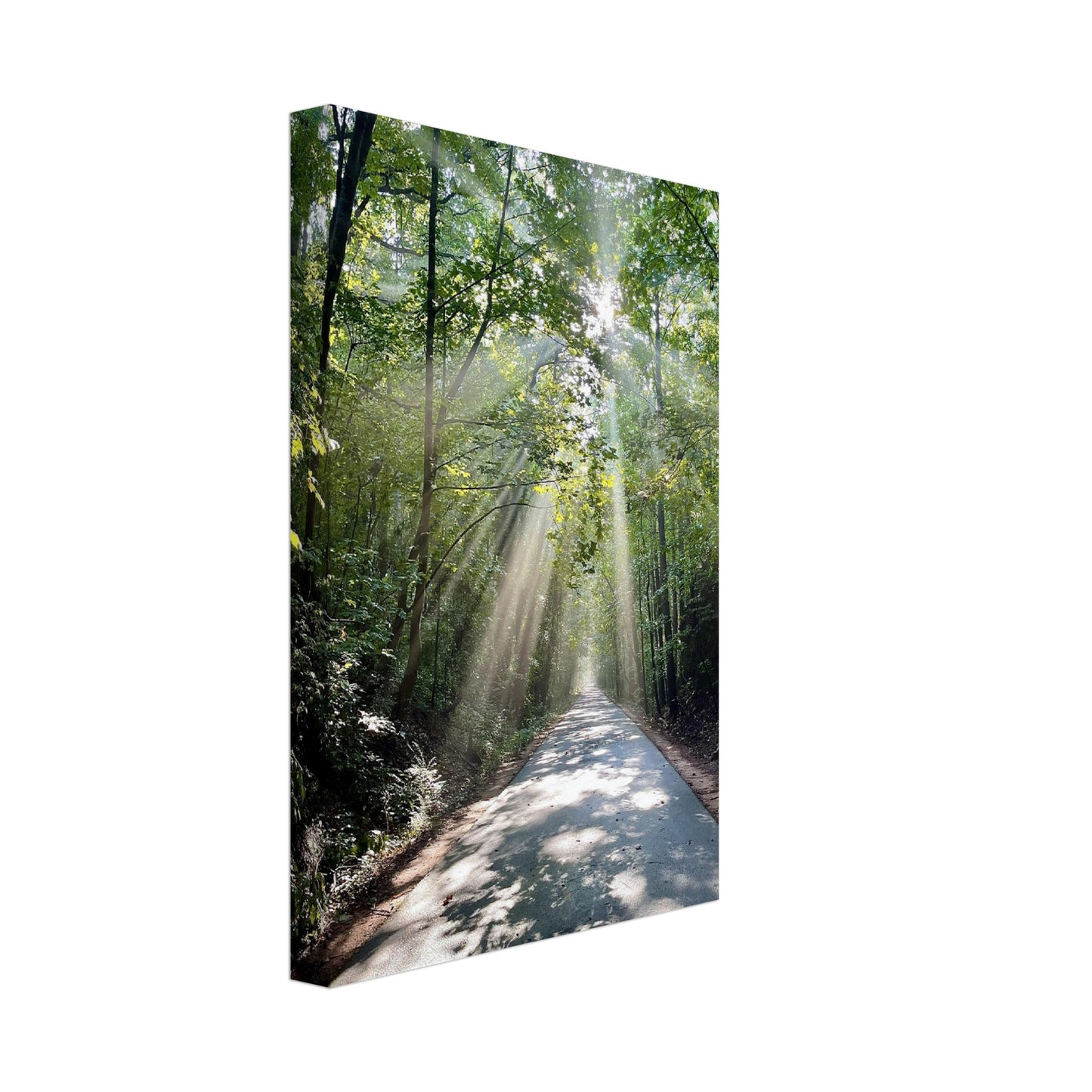 Silver Comet Trail - Smyrna, GA - Canvas