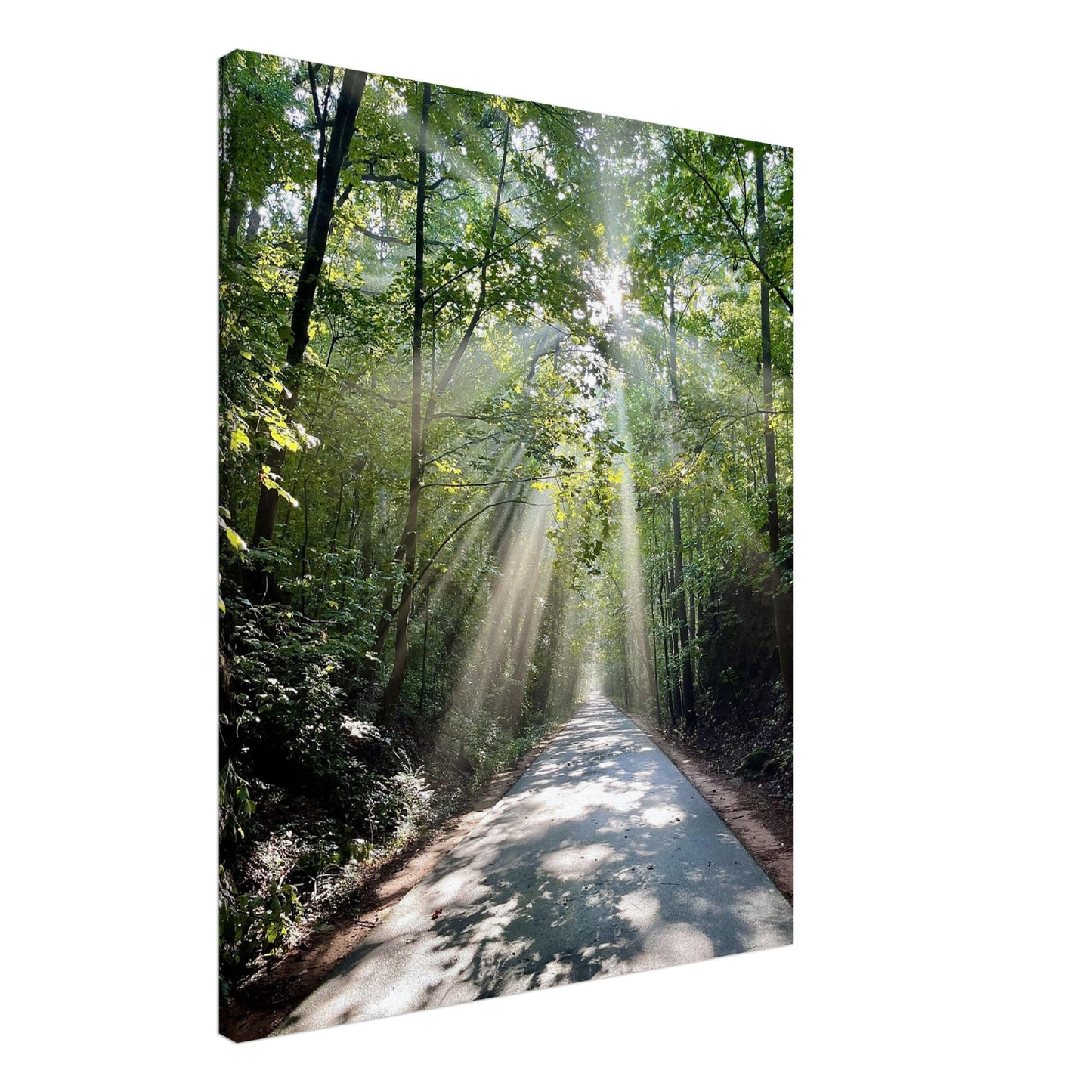 Silver Comet Trail - Smyrna, GA - Canvas