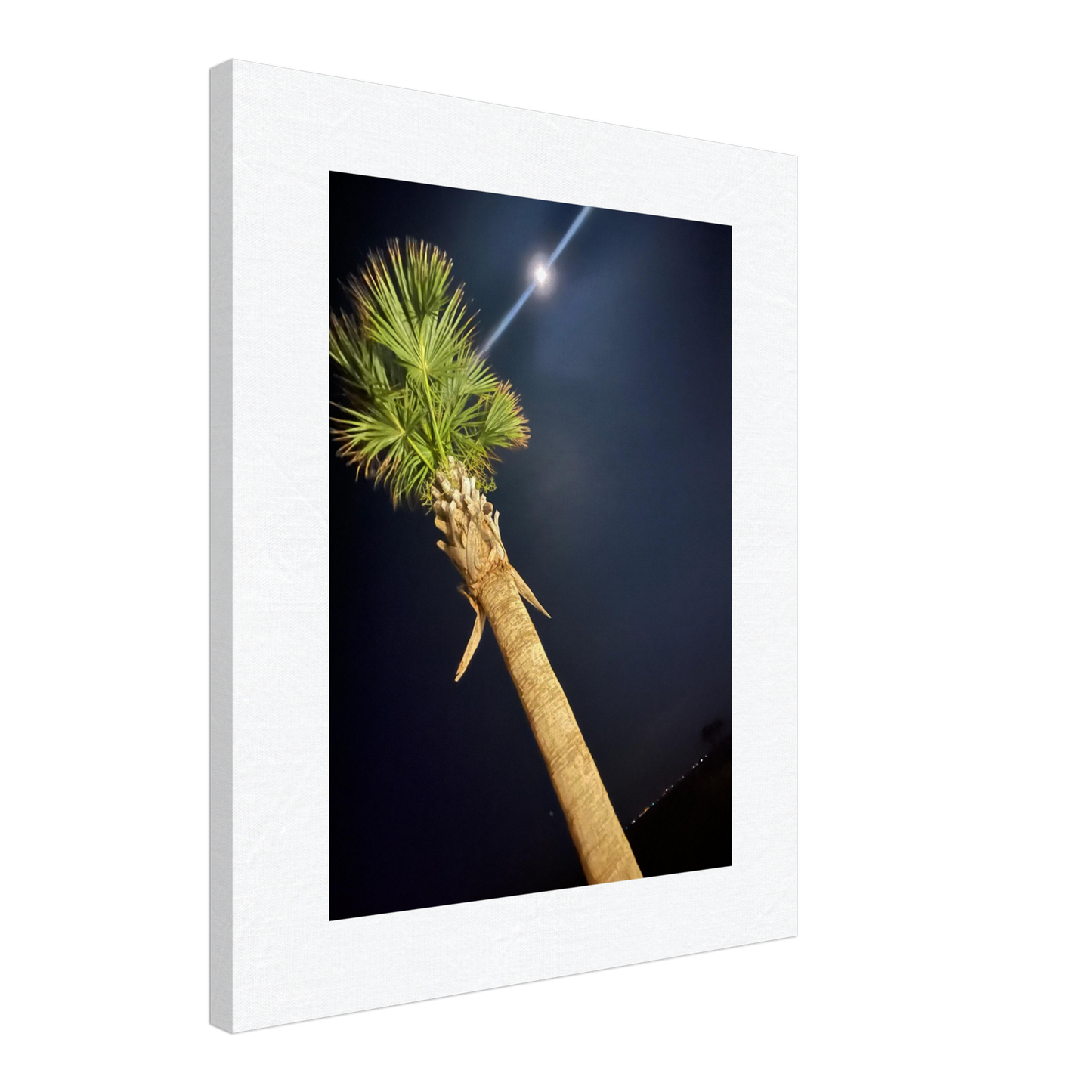 Palm Tree and Moon over Hilton Head Island on Canvas