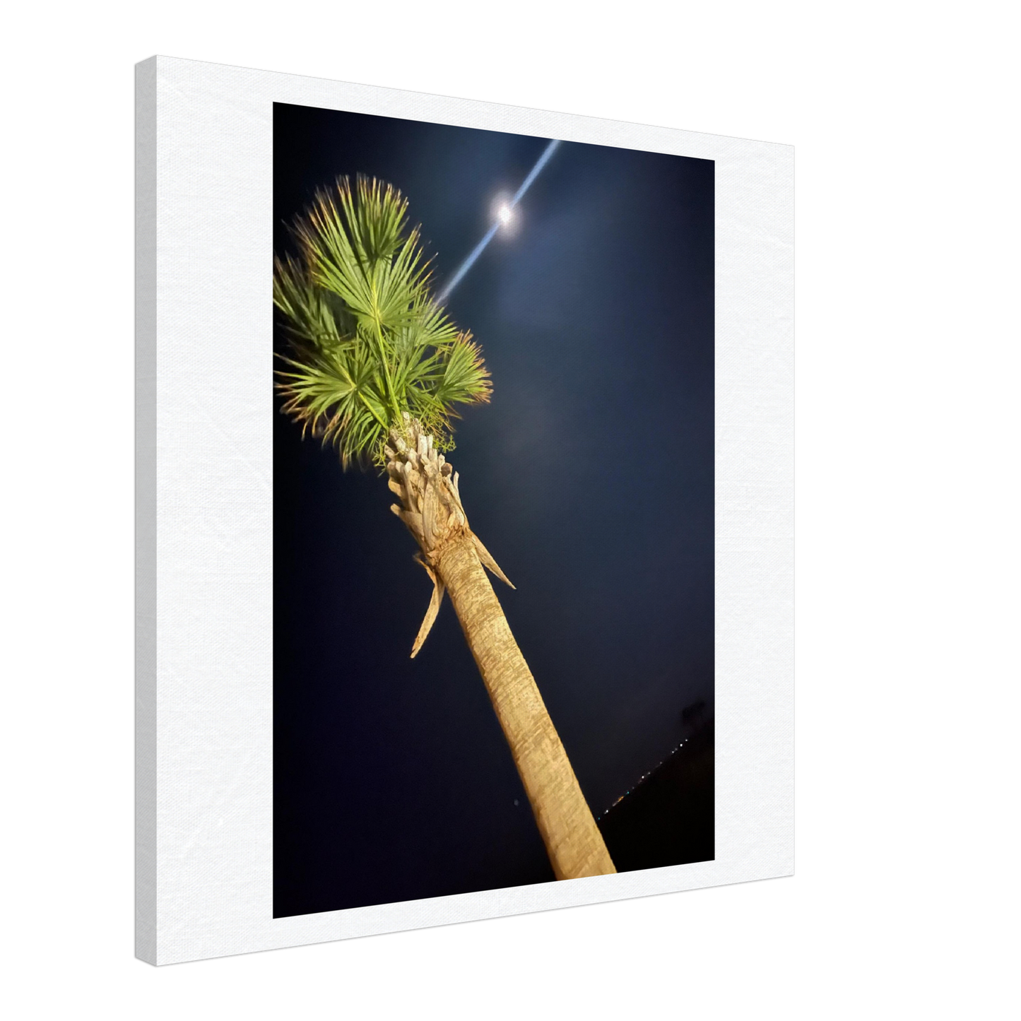 Palm Tree and Moon over Hilton Head Island on Canvas