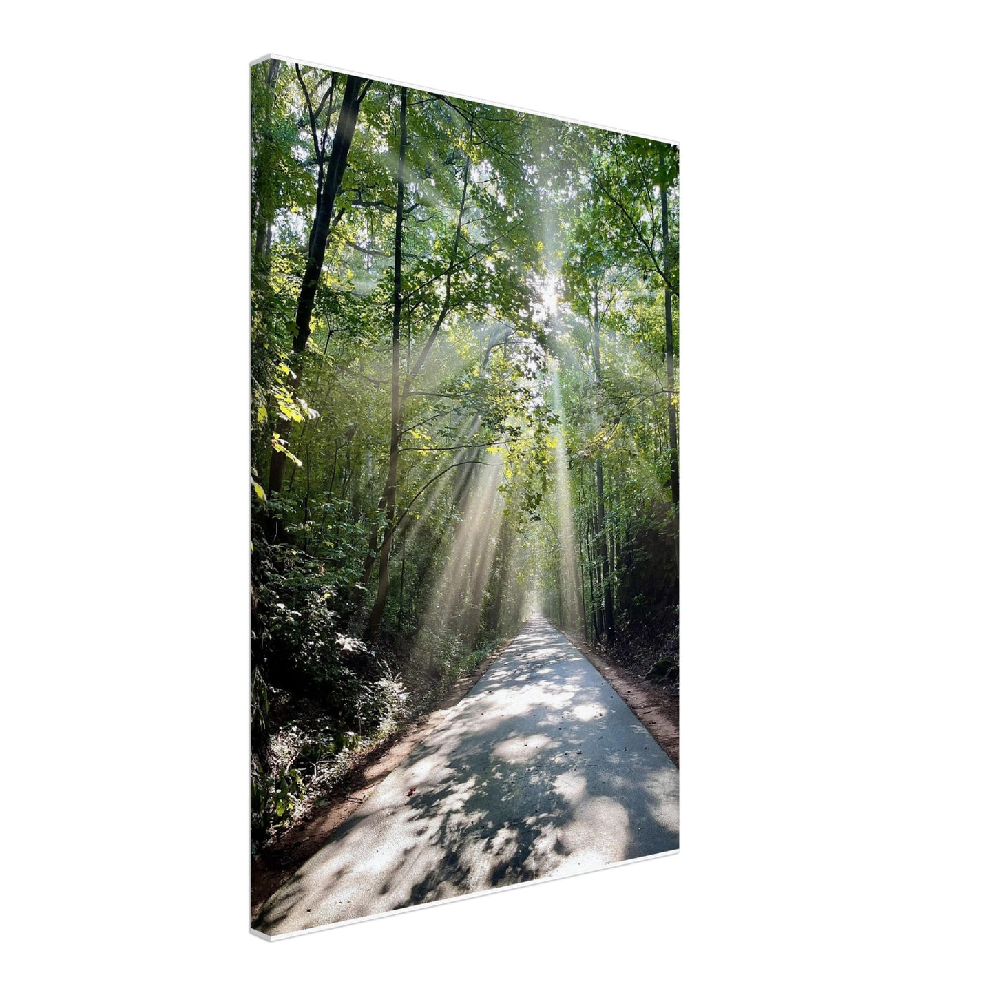 Silver Comet Trail - Smyrna, GA - Canvas