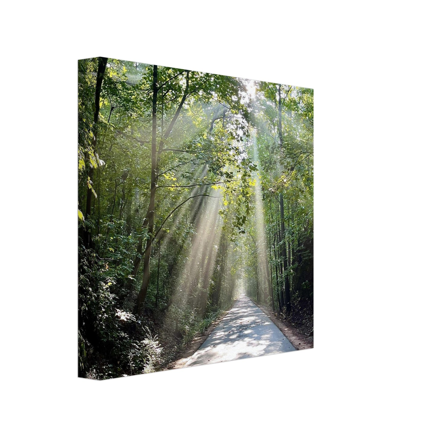 Silver Comet Trail - Smyrna, GA - Canvas