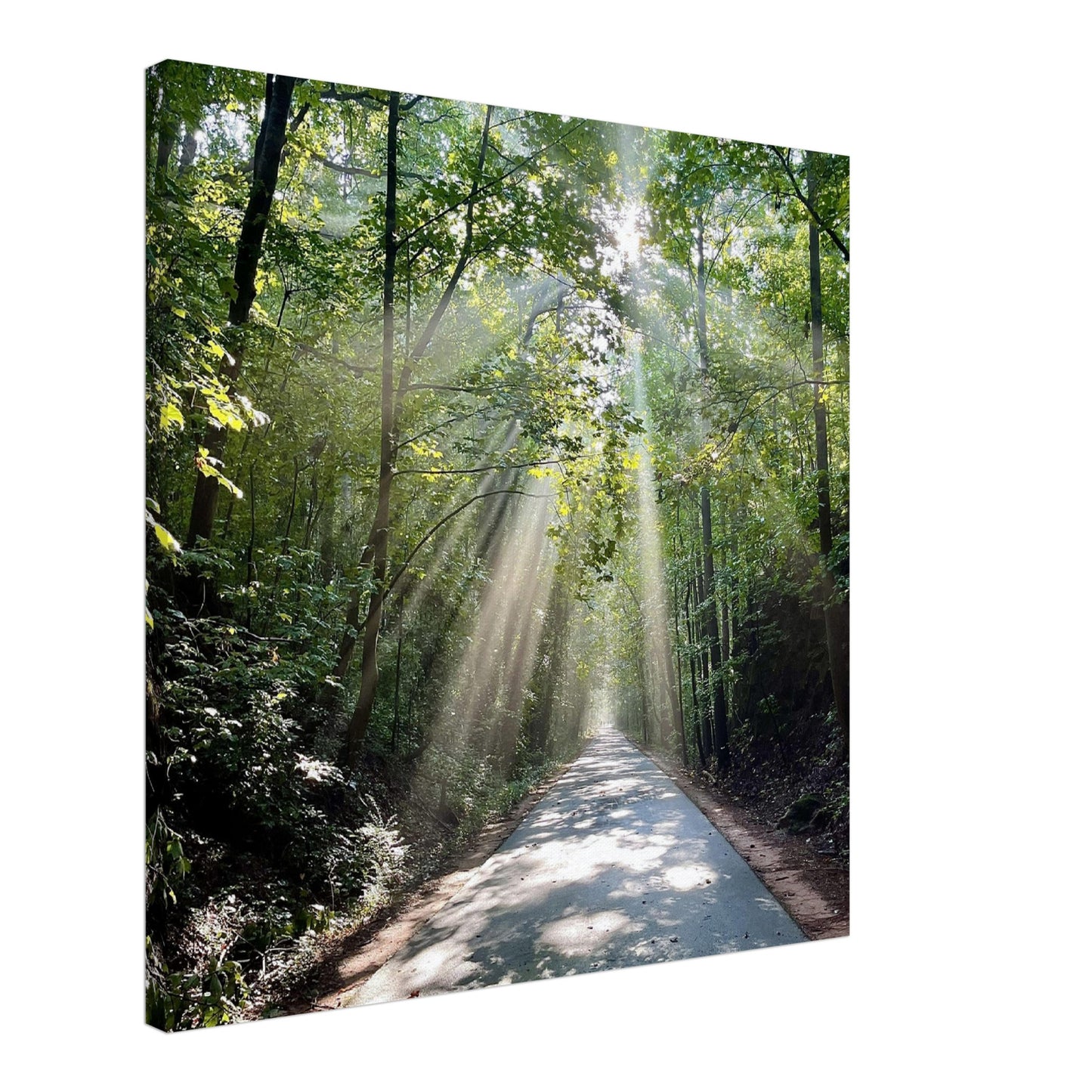 Silver Comet Trail - Smyrna, GA - Canvas