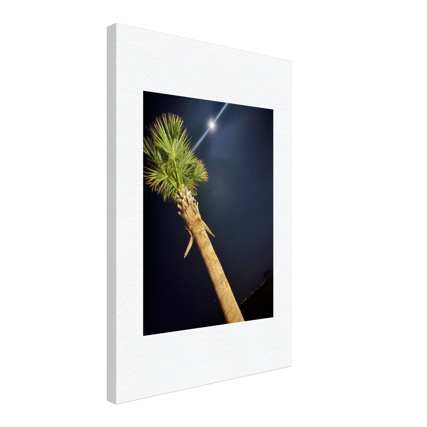 Palm Tree and Moon over Hilton Head Island on Canvas