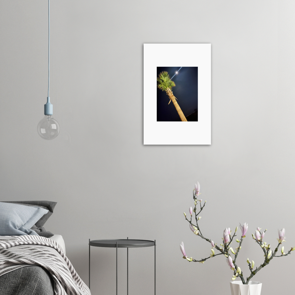 Palm Tree and Moon over Hilton Head Island Aluminum Print