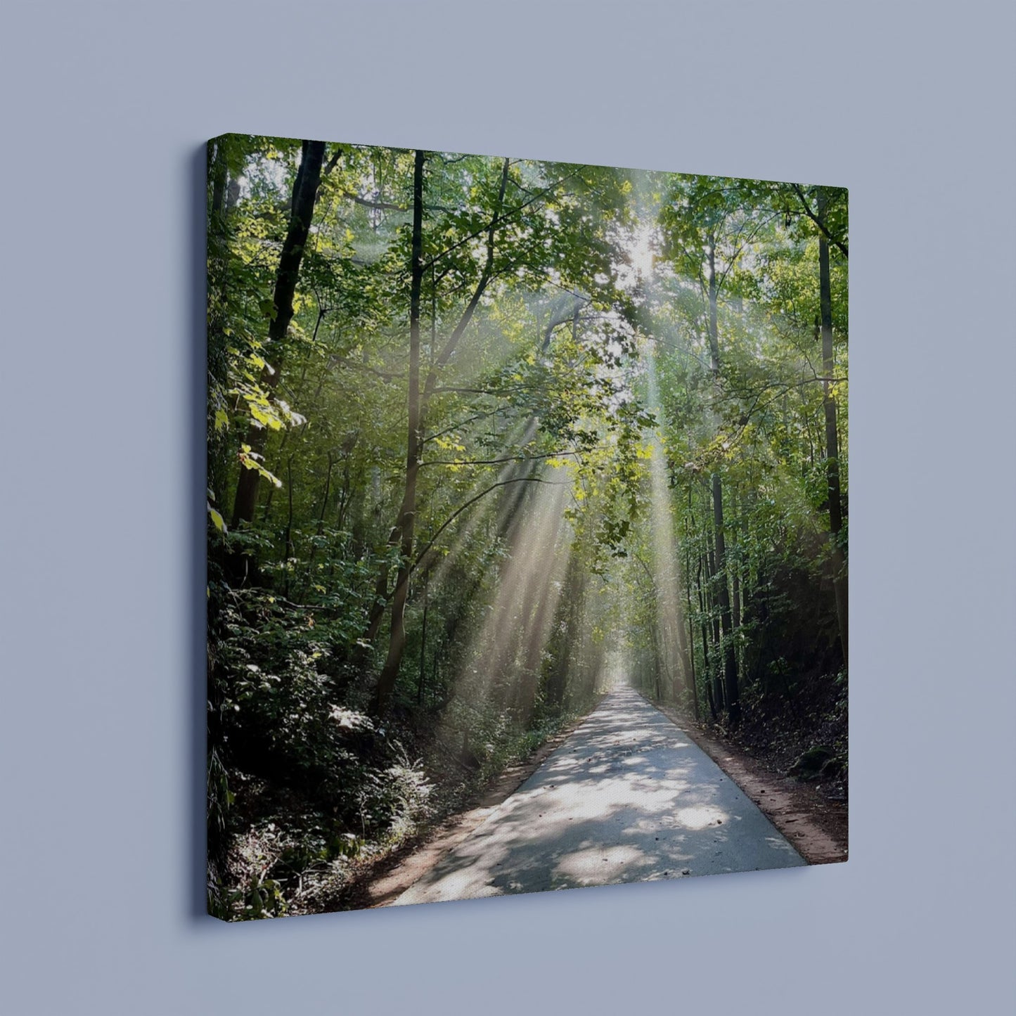 Silver Comet Trail - Smyrna, GA - Canvas