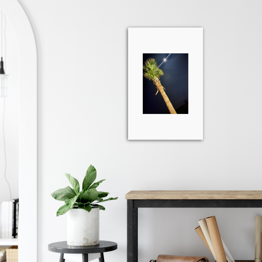 Palm Tree and Moon over Hilton Head Island Aluminum Print