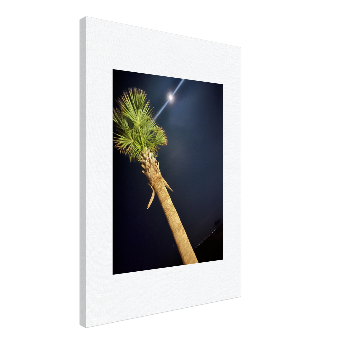 Palm Tree and Moon over Hilton Head Island on Canvas